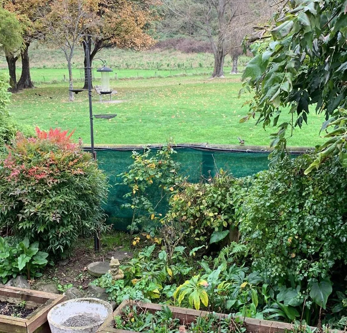דירות כרייסטצ'רץ' Redcliffs On Park By Sea ניו זילנד